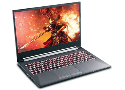 Sager NH58DDW, 15.6” FHD, Intel Core i7 - 10875H 2.3GHz, 16GB DDR4, 256GB NVMe SSD, Nvidia RTX 2060 6GB, Refurbished - Joy Systems PC